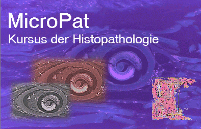 Start MicroPat WEB